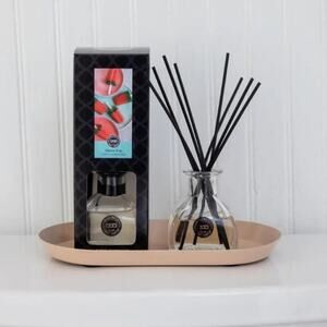 Petite Reed Diffuser Melon Pop